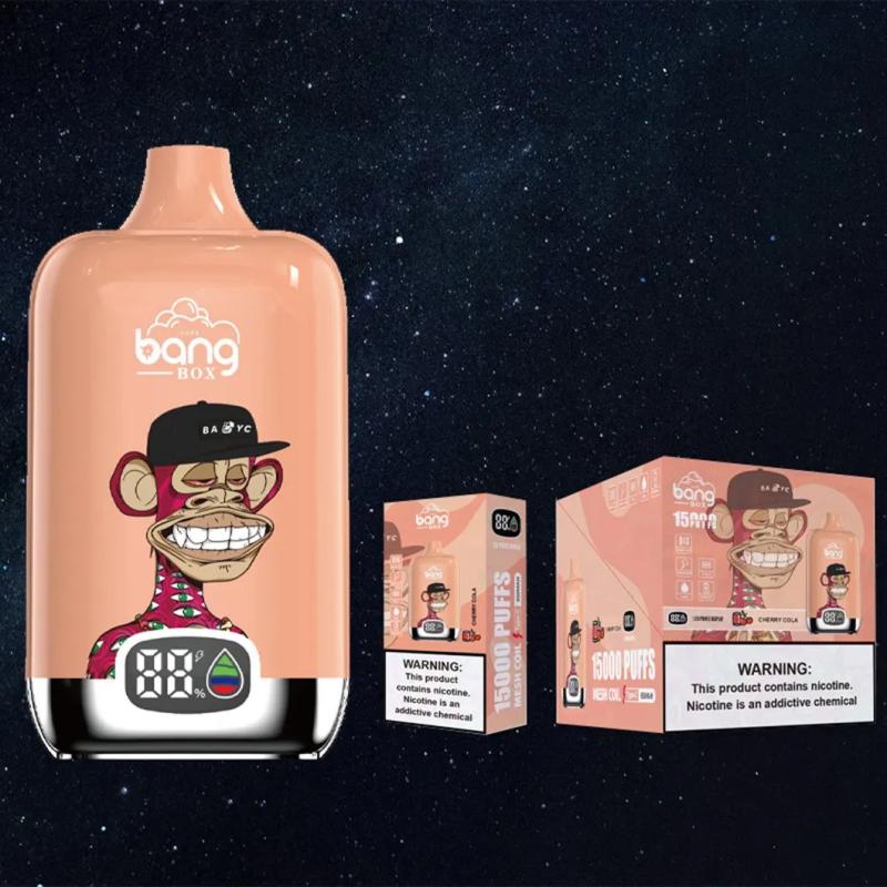 Bang Box 15000: Eine umfassende Bewertung aus Design, Leistung, Qualität, Geschmack, Benutzererfahrung und Benutzerfreundlichkeit